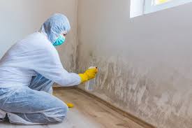 Mold Documentation for Insurance Claims in Willow Grove, TX